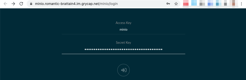 access-minio