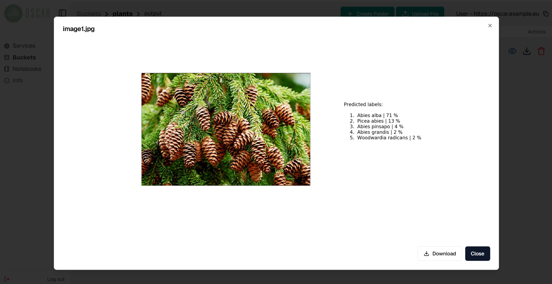 output file preview